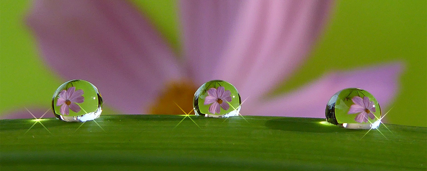 Weltenwandler